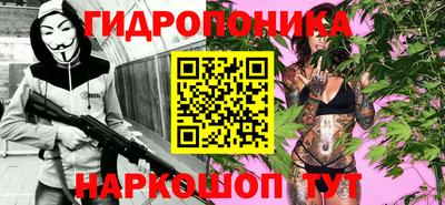 шишки Малгобек