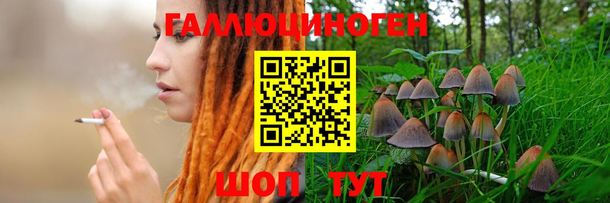Галлюциногенные грибы Cubensis Будённовск